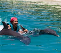 Swimming with dolphins Swimming with dolphins